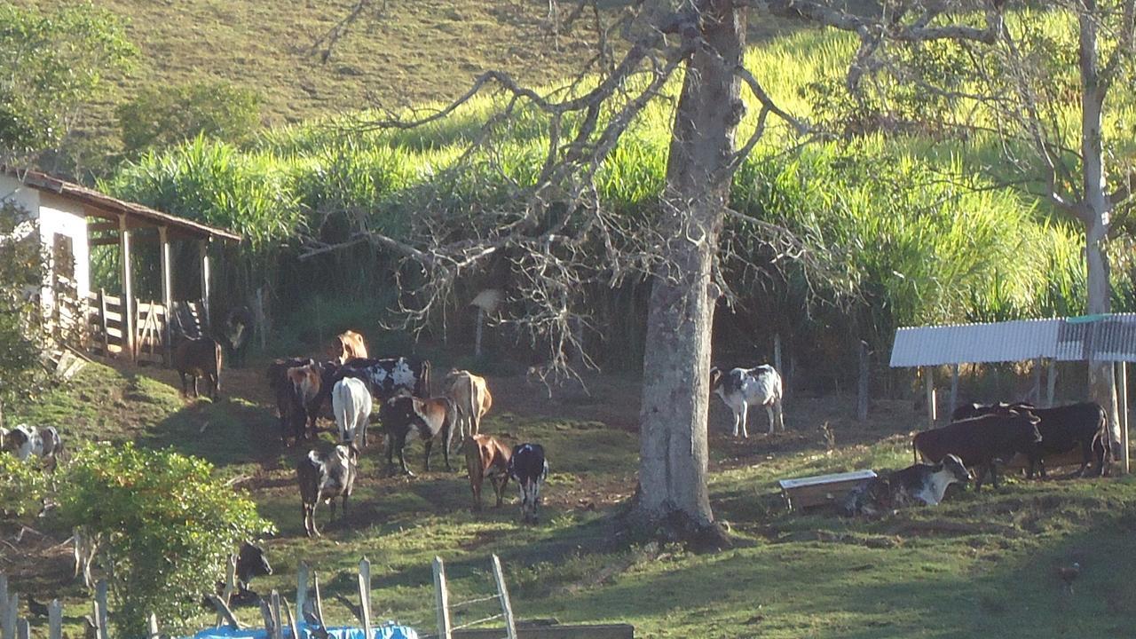 Hospedaria Vila Khepri Gonçalves Buitenkant foto